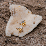 Lira Gold Earrings